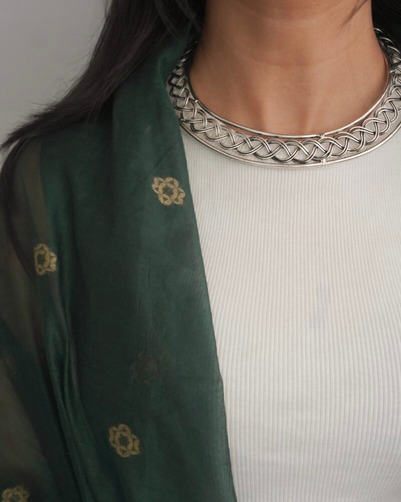 Naksh Jali Hasli